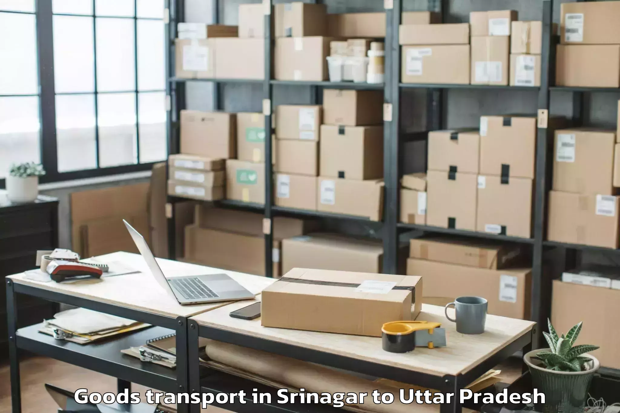 Leading Srinagar to Abhilashi University Lucknow Goods Transport Provider